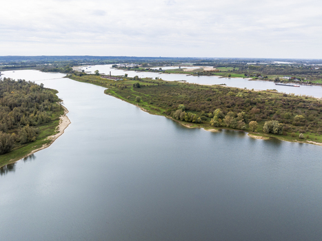 Aerial view of the Millingerwaard nature reserve featuring the winding river Waal and side channel lush wetlands and green vegetation in Kekerdom Gelderland Netherlands.