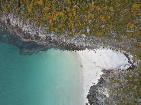 Aerial view of Rorvikstranda beach featuring white sand and turquoise water surrounded by rocky cliffs and autumn foliage in Henningsvaer Nordland Norway.