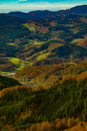 View of the rolling hills and dense autumn forests of the Black Forest with small villages nestled in the valleys under a blue sky Offenburg Baden Wurttemberg Germany. View of the rolling hills and dense autumn forests of the Black Forest with small villages nestled in the valleys under a blue sky Offenburg Baden Wurttemberg Germany.