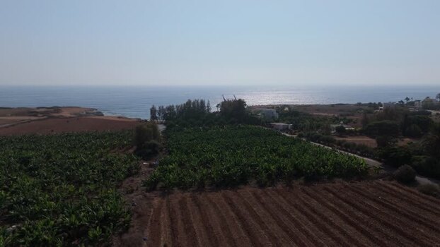 Aerial view of banana plantations near the coast in Nicosia Cyprus.