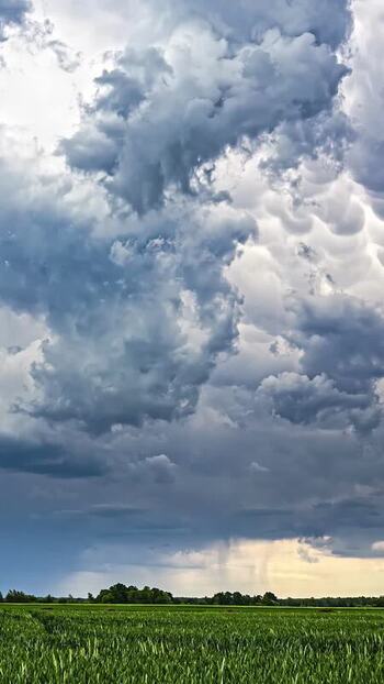 View of green field under dramatic storm clouds in Latvia. View of green field under dramatic storm clouds in Latvia.
