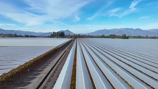 Aerial view of agricultural fields in Santiago Chile.