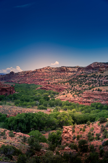 View of Bryce Canyon National Park featuring red rock formations lush green trees and a clear blue sky in Utah United States.