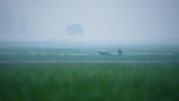 View of a fisherman in a boat on a misty morning Bangladesh.