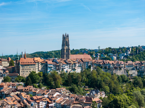 Aerial view of St Nicolas Cathedral rising above the historic old town with its red tiled rooftops and lush green trees under a clear blue sky in Fribourg Fribourg Switzerland. Aerial view of St Nicolas Cathedral rising above the historic old town with its red tiled rooftops and lush green trees under a clear blue sky in Fribourg Fribourg Switzerland.