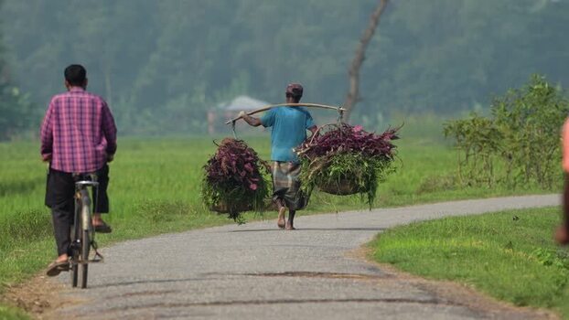 View of a farmer carrying vegetable baskets on a road Bangladesh.