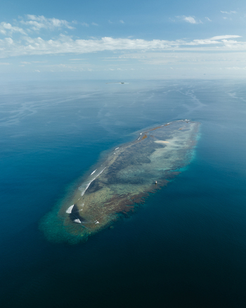 Aerial view of turquoise waters embrace a coral reef island a haven of biodiversity amidst the vast ocean s expanse Goro South Province New Caledonia. Aerial view of turquoise waters embrace a coral reef island a haven of biodiversity amidst the vast ocean s expanse Goro South Province New Caledonia.