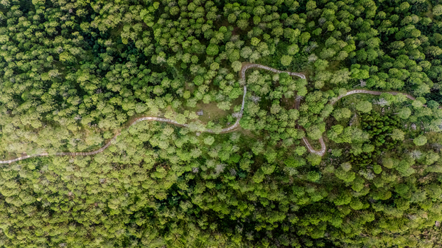 Aerial view of a winding road cutting through a dense pine forest in the mountainous landscape near the Islamabad Murree Expressway Lower Topa Punjab Pakistan. Aerial view of a winding road cutting through a dense pine forest in the mountainous landscape near the Islamabad Murree Expressway Lower Topa Punjab Pakistan.