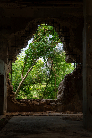 View of the ruins of North Field Base with a large jagged opening in the concrete wall revealing lush green trees and foliage in Northern Tinian Tinian Northern Mariana Islands. View of the ruins of North Field Base with a large jagged opening in the concrete wall revealing lush green trees and foliage in Northern Tinian Tinian Northern Mariana Islands.