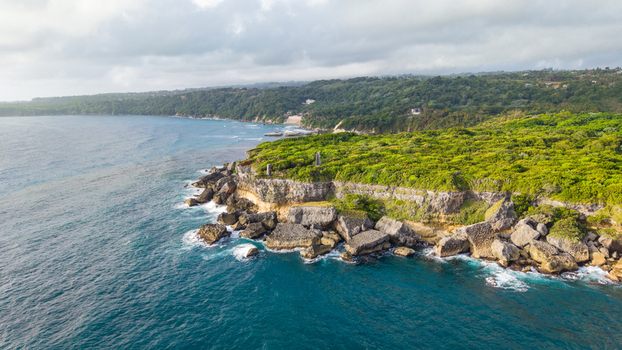 Aerial view of Cabo Frances Viejo featuring rugged cliffs lush green vegetation and the deep blue waters of the Atlantic Ocean in Cabrera Maria Trinidad Sanchez Dominican Republic.