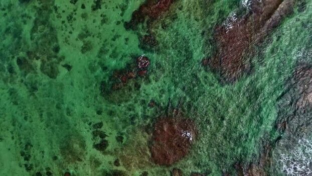 Aerial view of rocky coastline and clear sea Sri Lanka.