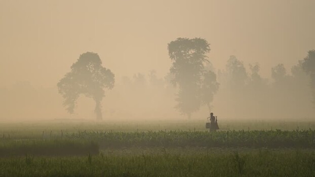 View of a farmer in a misty field at dawn Bangladesh. View of a farmer in a misty field at dawn Bangladesh.