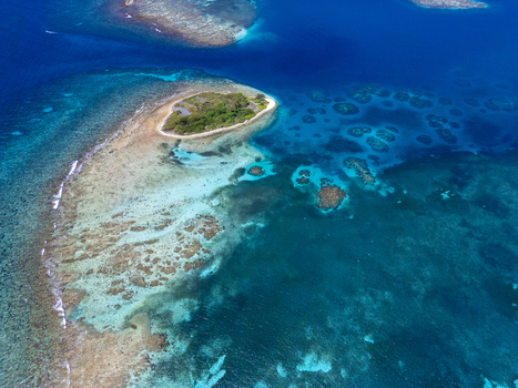 Aerial view of the lush tropical island and vibrant coral reefs in the Caribbean Sea in Guanaja Bay Islands Department Honduras. Aerial view of the lush tropical island and vibrant coral reefs in the Caribbean Sea in Guanaja Bay Islands Department Honduras.