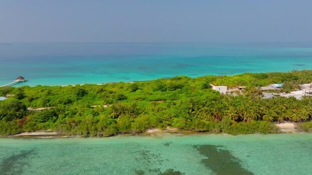 Aerial view of island with green trees Maldives.