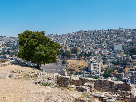 View of the historic Amman Citadel ruins with a prominent tree overlooking the sprawling cityscape and the ancient Roman theater in Amman Amman Governorate Jordan.