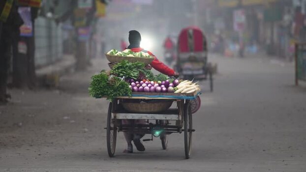 View of a vendor pushing a vegetable cart in Bogura Bangladesh. View of a vendor pushing a vegetable cart in Bogura Bangladesh.
