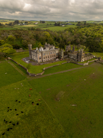 Aerial view of the historic Castlefreke Castle ruins surrounded by lush green fields stone walls and grazing cattle in the rural landscape of Castlefreke County Cork Ireland.