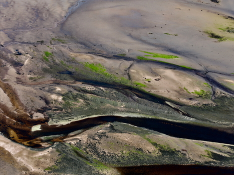 Aerial view of the intricate tidal patterns and dark water channels of Findhorn Bay with patches of green algae on the sand Findhorn Scotland United Kingdom. Aerial view of the intricate tidal patterns and dark water channels of Findhorn Bay with patches of green algae on the sand Findhorn Scotland United Kingdom.