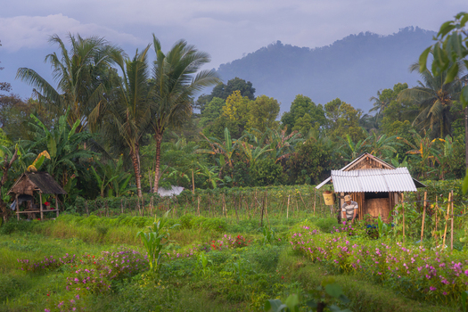 Aerial view of lush tropical gardens and small wooden huts in the Sidemen valley with palm trees and misty mountains in the background Sidemen Bali Indonesia. Aerial view of lush tropical gardens and small wooden huts in the Sidemen valley with palm trees and misty mountains in the background Sidemen Bali Indonesia.