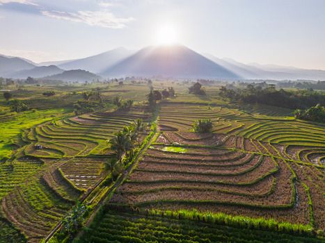 Aerial view of Kemumu rice terraces at sunrise with sun rays over the mountain lush green paddies and palm trees in Arma Jaya Bengkulu Indonesia. Aerial view of Kemumu rice terraces at sunrise with sun rays over the mountain lush green paddies and palm trees in Arma Jaya Bengkulu Indonesia.