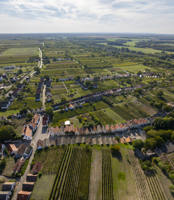 Aerial view of Hajos pincefalu a historic wine cellar village with rows of traditional white buildings nestled among lush vineyards and agricultural fields in Hajos Hungary. Aerial view of Hajos pincefalu a historic wine cellar village with rows of traditional white buildings nestled among lush vineyards and agricultural fields in Hajos Hungary.