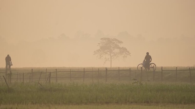 View of a person with a bicycle in a misty field Bangladesh. View of a person with a bicycle in a misty field Bangladesh.
