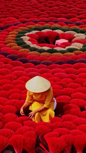 View of incense stick bundles drying Vietnam.