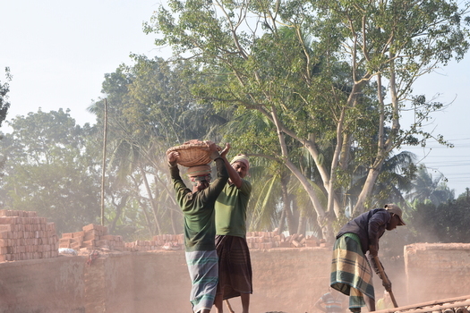 Kushtia District Khulna Division Bangladesh 28 November 2020 View of workers carrying baskets of bricks in a dusty brick field with trees in the background. Kushtia District Khulna Division Bangladesh 28 November 2020 View of workers carrying baskets of bricks in a dusty brick field with trees in the background.