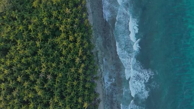 Aerial view of lush trees and ocean Maldives. Aerial view of lush trees and ocean Maldives.