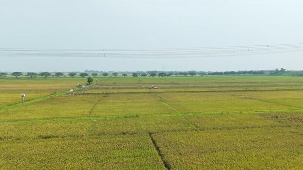 Aerial view of rice fields with tractors Indonesia.