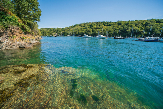 View of the Fowey River with moored sailboats and yachts under a clear blue sky featuring rocky shoreline and lush green hills in the background in Fowey Cornwall United Kingdom. View of the Fowey River with moored sailboats and yachts under a clear blue sky featuring rocky shoreline and lush green hills in the background in Fowey Cornwall United Kingdom.