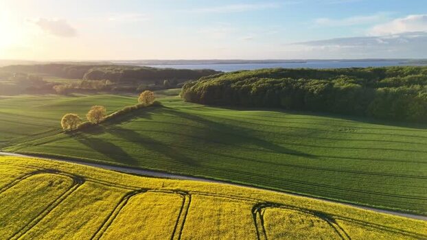 Aerial view of rolling green hills and rapeseed fields Germany.
