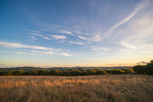 View of a golden hour landscape with dry grass rolling hills and trees under a blue sky in Bodmin Cornwall United Kingdom. View of a golden hour landscape with dry grass rolling hills and trees under a blue sky in Bodmin Cornwall United Kingdom.
