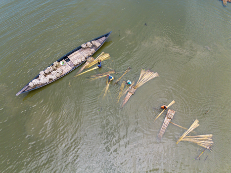 Natore Bangladesh 25 July 2026 Aerial view of workers processing jute fibers in the river with a wooden boat loaded with bundles and people working in the water.