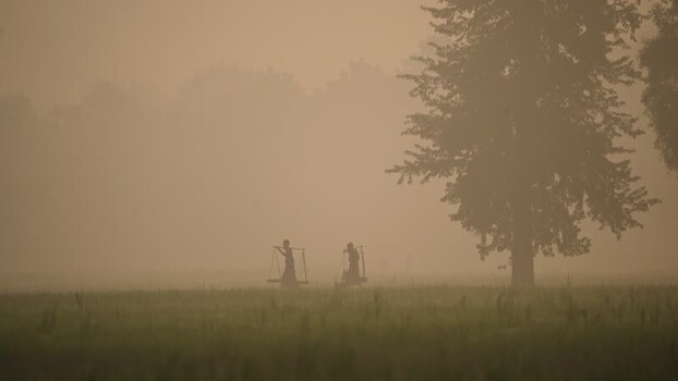 View of workers carrying loads through a misty field Bangladesh. View of workers carrying loads through a misty field Bangladesh.