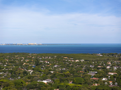 Aerial view of the lush green residential neighborhood and dense tree canopy near the blue waters of Biscayne Bay in Coral Gables Florida United States.