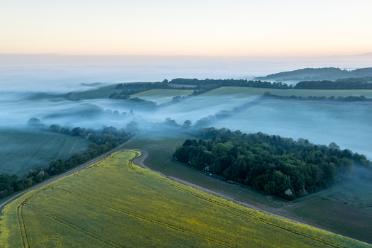 Aerial view of rolling green and yellow fields covered in thick morning mist and fog at dawn near Nuffield Oxfordshire United Kingdom. Aerial view of rolling green and yellow fields covered in thick morning mist and fog at dawn near Nuffield Oxfordshire United Kingdom.