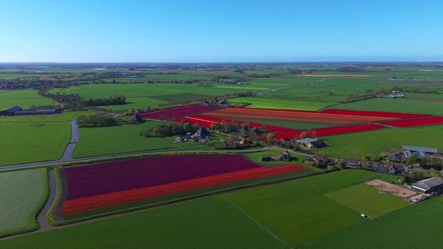 Aerial view of colorful tulip fields and rural landscape Netherlands. Aerial view of colorful tulip fields and rural landscape Netherlands.