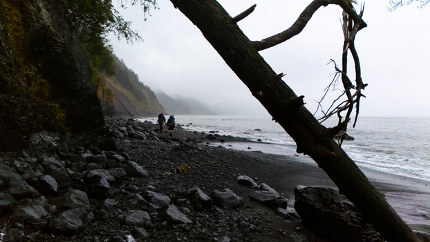 Aerial view of hikers walking along the rocky black sand beach of the Lost Coast under a misty sky with a fallen tree in the foreground Humboldt County California United States.