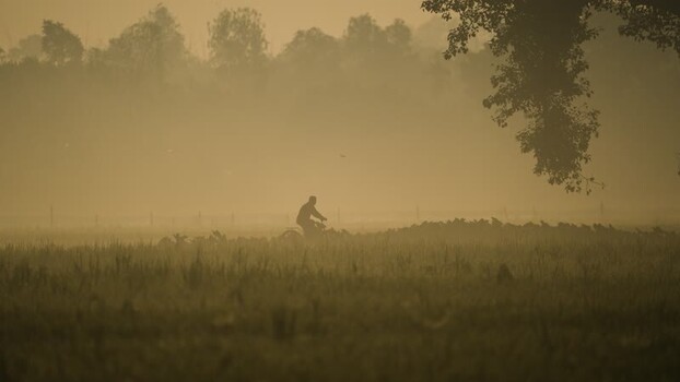 View of a person on a bicycle in a misty field Bangladesh.