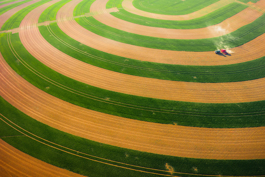 Aerial view of concentric circular patterns of green and golden crops with a harvester working in the field Chvalkovice Hradec Kralove Region Czechia.