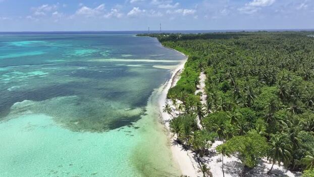 Aerial view of tropical coastline and green palm forest Maldives. Aerial view of tropical coastline and green palm forest Maldives.