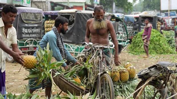 View of men loading pineapples at a market in Bangladesh. View of men loading pineapples at a market in Bangladesh.