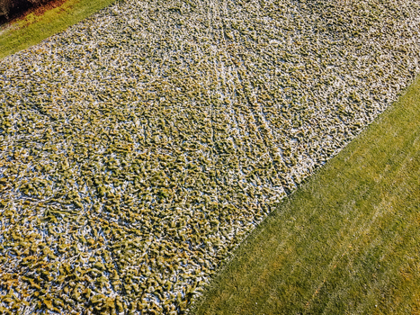Aerial view of a golf course covered in first frost with a vibrant green grass border in Valmiera Valmiera Latvija.