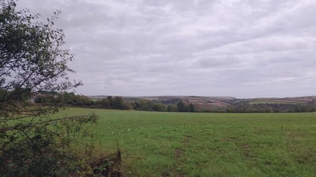 View of woodland landscape in Looe United Kingdom. View of woodland landscape in Looe United Kingdom.