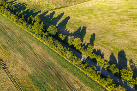 Aerial view of a rural road winding through agricultural fields lined with trees casting long shadows in the late afternoon light in Choczewo Pomeranian Voivodeship Poland. Aerial view of a rural road winding through agricultural fields lined with trees casting long shadows in the late afternoon light in Choczewo Pomeranian Voivodeship Poland.