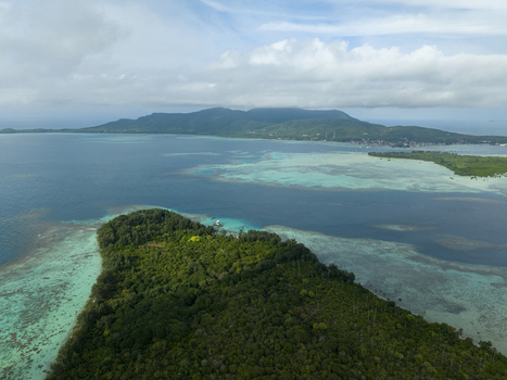 Aerial view of lush green vegetation meets the turquoise waters a contrast of textures under a cloudy sky Menjangan Kecil Island Karimunjawa Central Java Indonesia.