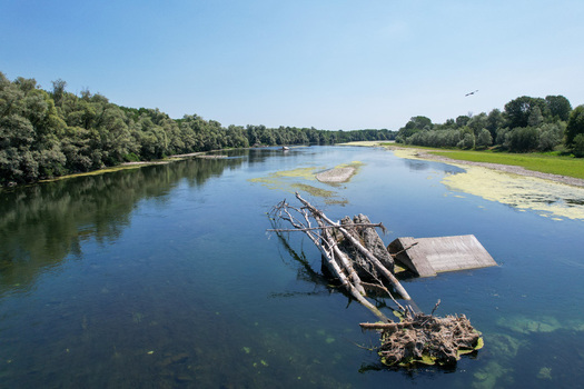 Aerial view of the Po river with fallen trees and debris in the calm water surrounded by lush green forests under a clear blue sky in Morano sul Po Piedmont Italy. Aerial view of the Po river with fallen trees and debris in the calm water surrounded by lush green forests under a clear blue sky in Morano sul Po Piedmont Italy.