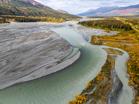 Aerial view of the Delta River with braided channels gravel bars and vibrant autumn foliage in the surrounding wilderness of Southeast Fairbanks Alaska United States. Aerial view of the Delta River with braided channels gravel bars and vibrant autumn foliage in the surrounding wilderness of Southeast Fairbanks Alaska United States.