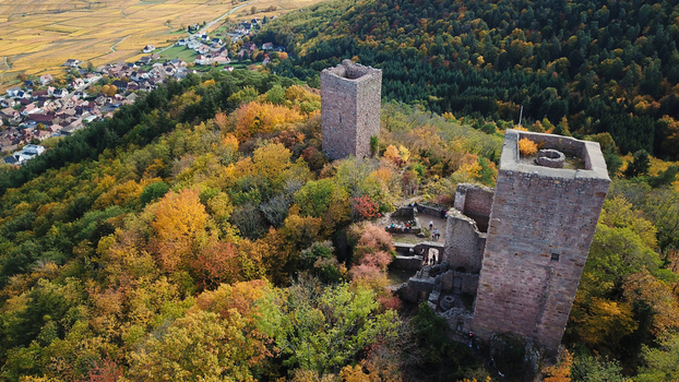 Aerial view of the Trois Chateaux d Eguisheim castle ruins nestled in a vibrant autumn forest with the village of Eguisheim in the background Eguisheim Grand Est France.